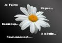 la folia